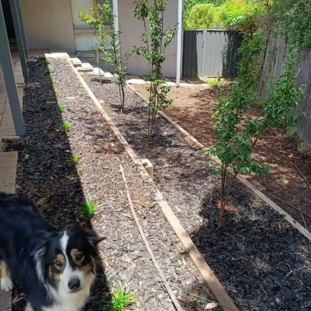 Timber Retaining Wall