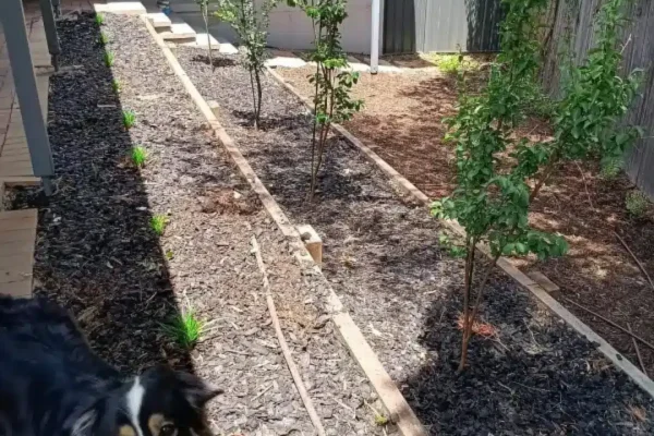 1 Canberra Landscaping